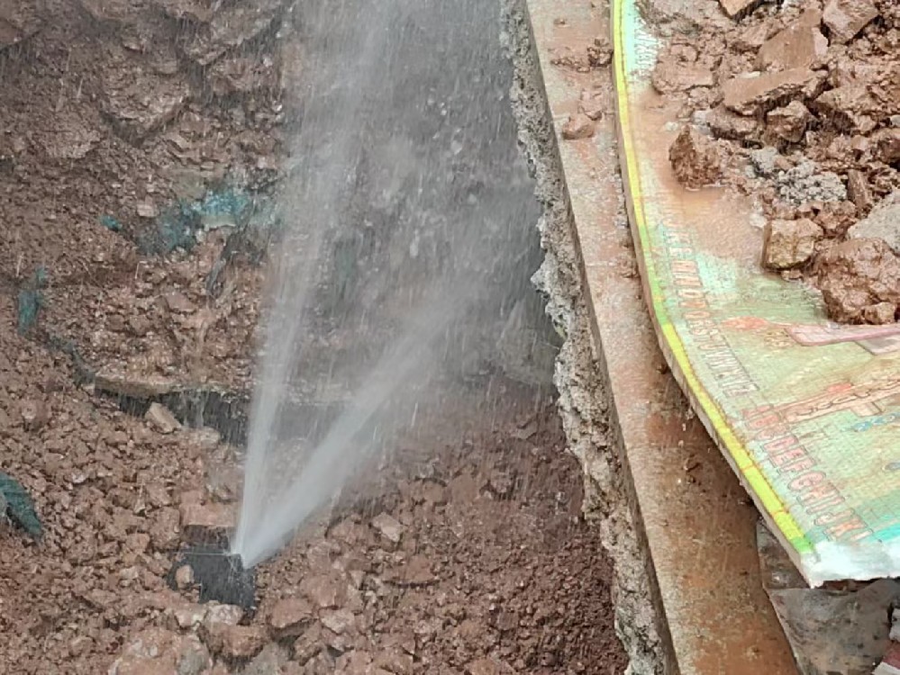 消防水管漏水检测定点开挖（错那）